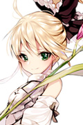 Saber Lily