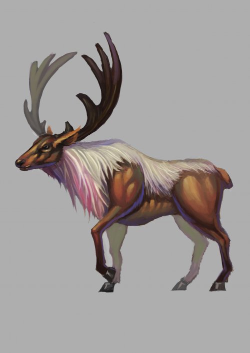 ����-���¹