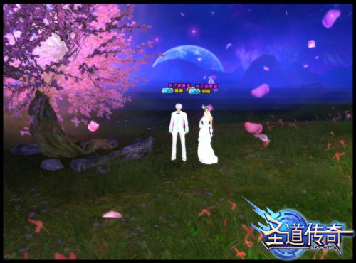 爱侣们的花前月下