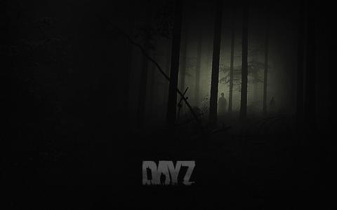 DayZϷͼ