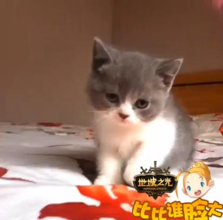 我会招财我自豪