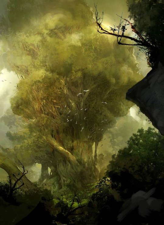 《激战2》海量原画