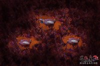 ����󳡾�ͼ