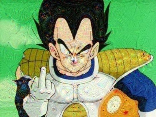 谷歌计算机眼中的世界