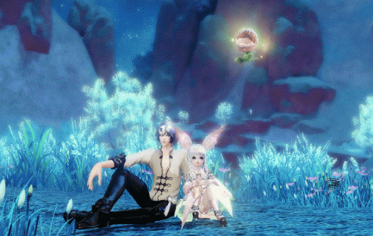 �����͡�ӵ���������ƽ���