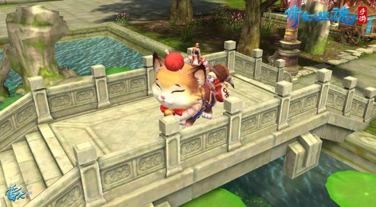 大脸眯眯眼 呆萌喵亮相