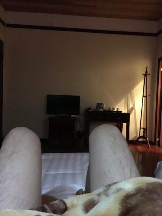 �ʵ�����������»