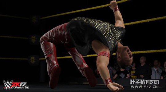 ��WWE 2K17��PC����ʽ���� ���ھ���ˤ�����