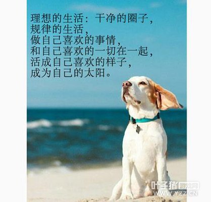 洋葱资讯:壕给美女主播刷52000RMB 人家的情人节…