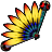 Icon-.png