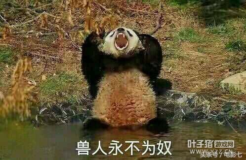 һ����������������ҵ��ഺӰƬ���̵㡶ħ�ޡ�������