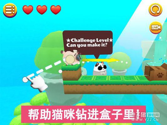 ����Σ�Ů��������