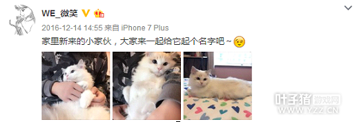 �ĺ��˻Ķ��ڶ�Ů��'��' �羺Ȧ������Ҳ����ס��