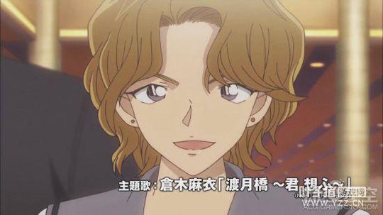 �糡������̽��������PV ��Ҷ���������Ծ���