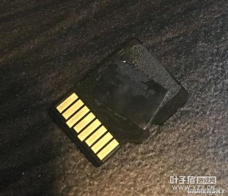 һ��Ҹ���������Switch���ջ�SD�� �����ڻ�������ָ