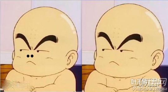 ������ɹ�屌˿�������ʦ��ͬ�� �������˽������