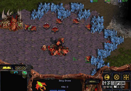 �ص���Koro1����ѵ���� OMG�е���LPL����