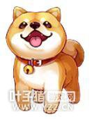 ��������ܡ��񻶿��ܽ�3��24�տ��� Ҫ�ľ��ǡ���