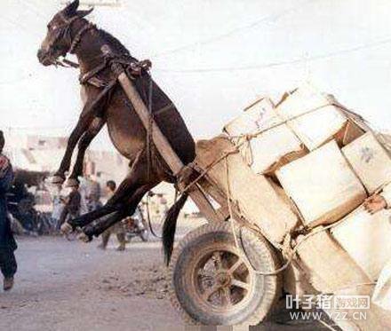 �����Ѷ����������Ӱ� Ϊ��׬Ǯ������������