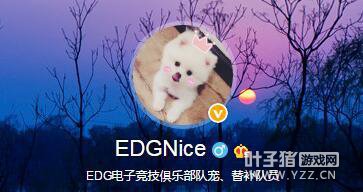 ԭROX��Ա����EDG �油ŭ�⣺����ϲ����ɵ���