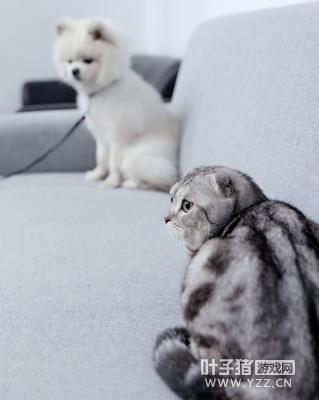 ԭROX��Ա����EDG �油ŭ�⣺����ϲ����ɵ���