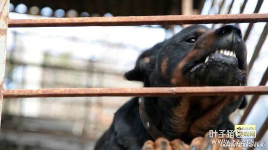 IGN���ء�GTA�����Ӿ�Ԥ�棡�޷����ڿ�ع�