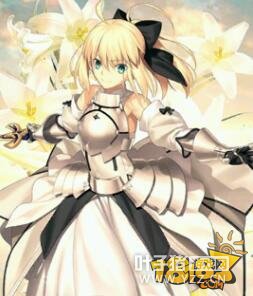 ���˹�λָ����Ů��ʿsaber���򽲽�