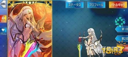 FGO�����������ܷ��� �����زĽ���