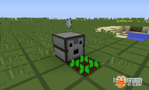 十条农业实用技巧,叫你各种搞笑种植方法