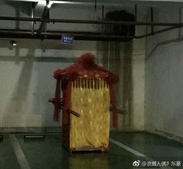 ��˵����