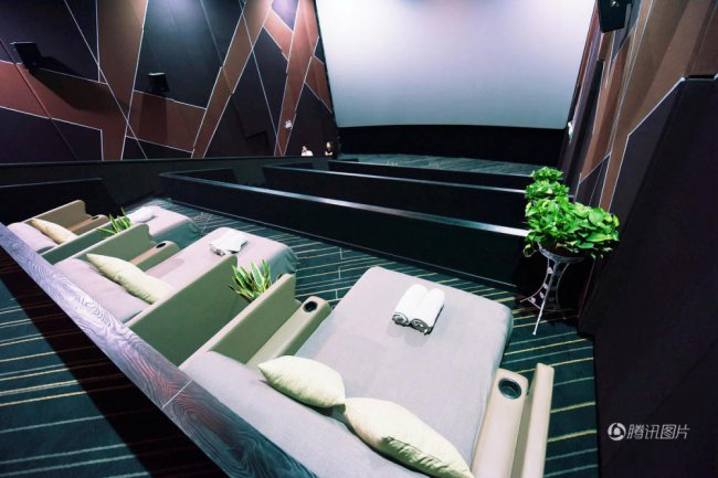 ��˵����