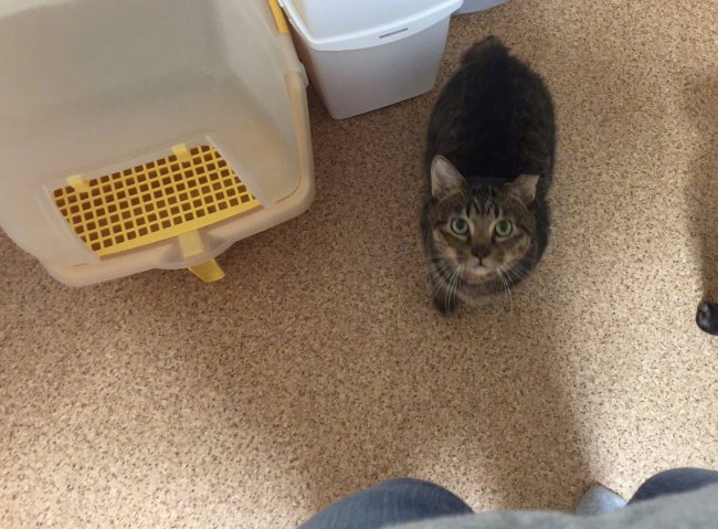 ��˵����