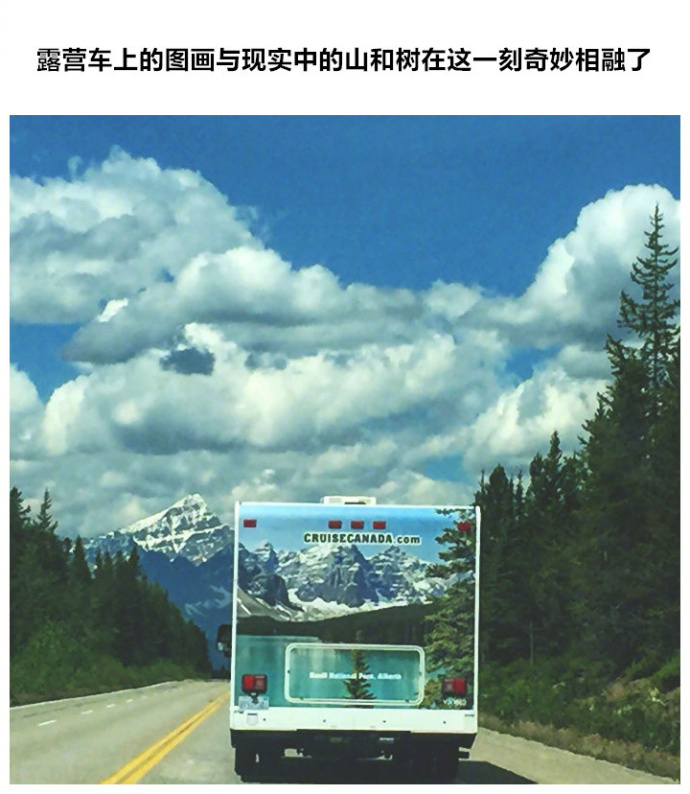 ��˵����