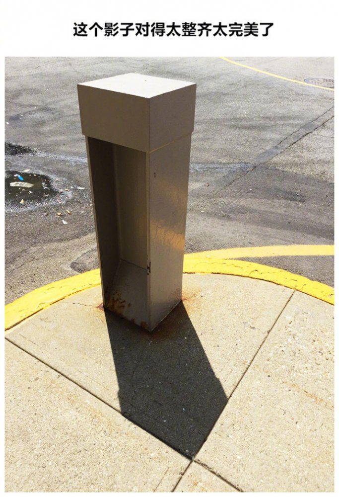 ��˵����