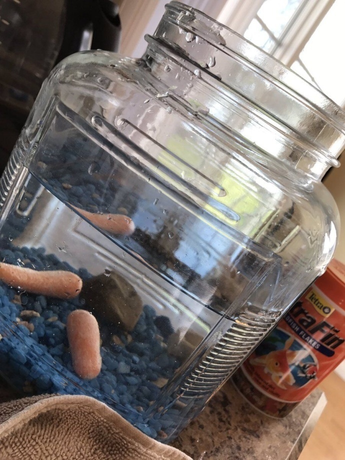 ��˵����