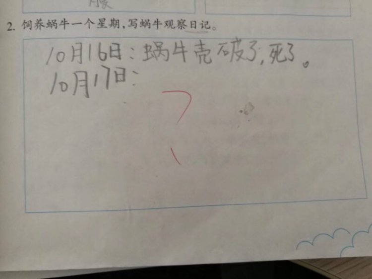 ��˵����