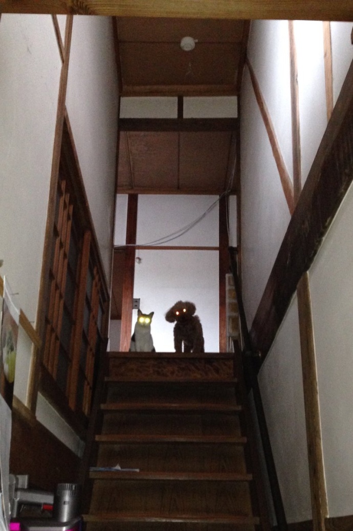 ��˵����