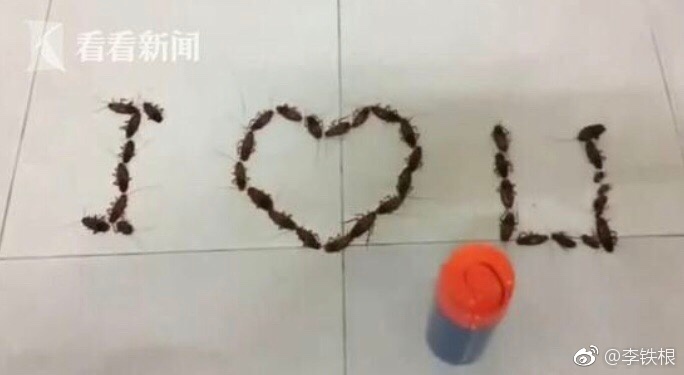 ��˵����