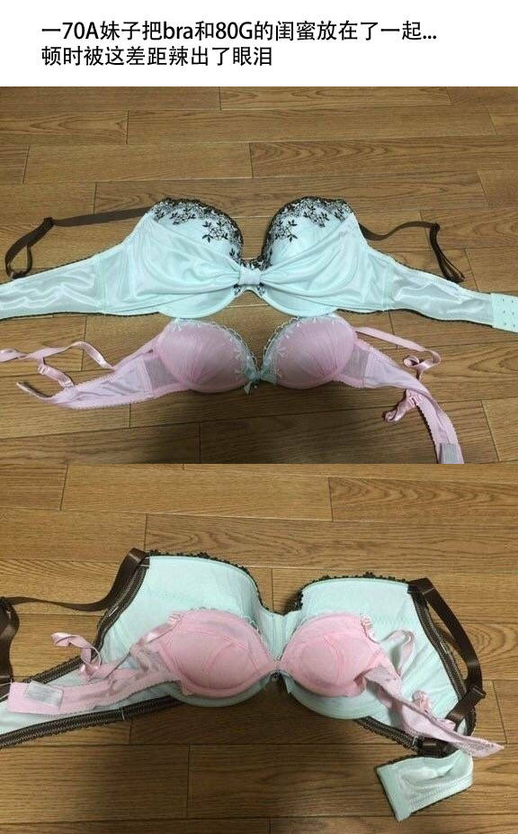 ��˵����