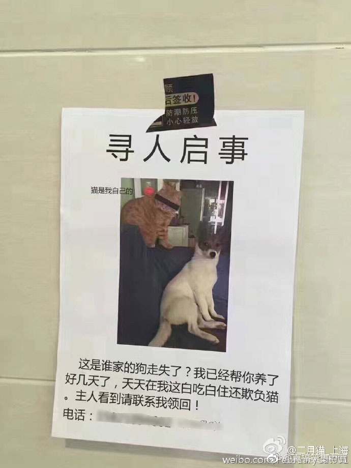 ��˵����