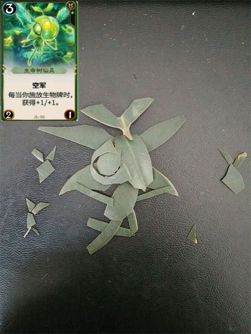 ����һƬ���е�Ҷ�ӣ�һƬ�����˵ͼ�Ȥζ��Ҷ�ӡ���