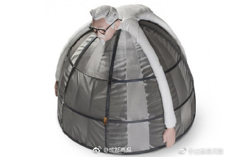 ��˵����