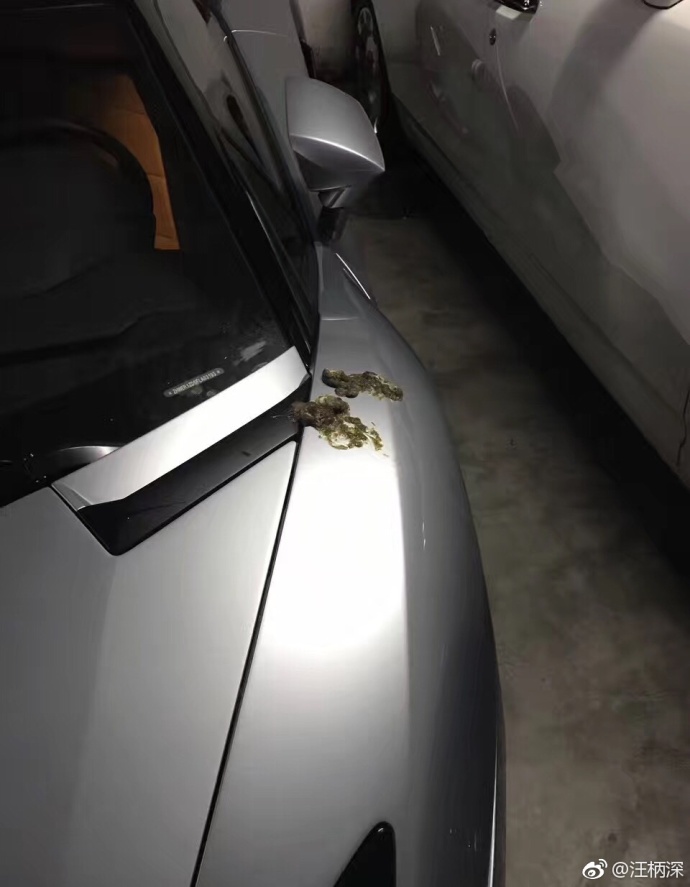 ��˵����