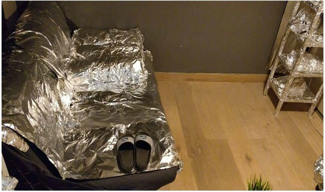 ��˵����