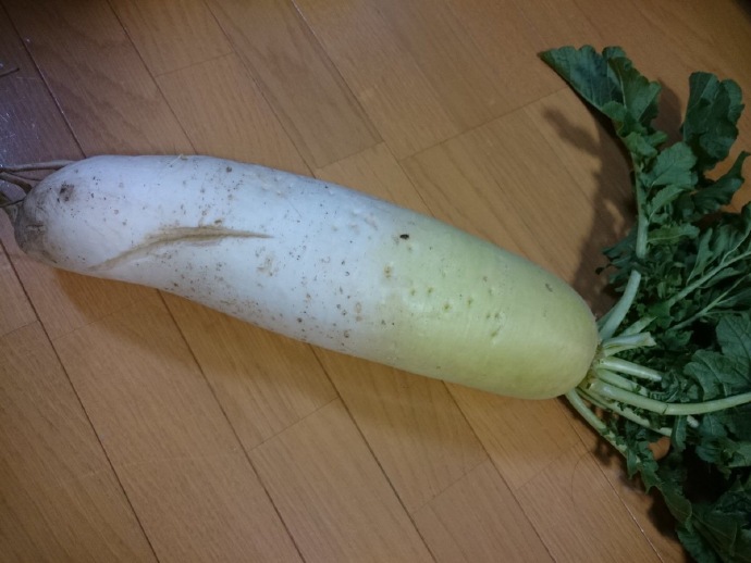 ��˵����