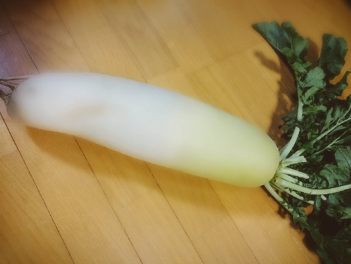 ��˵����