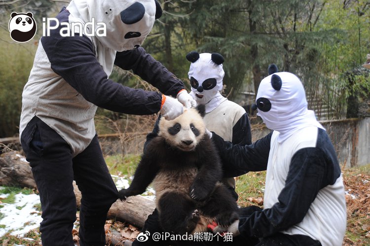 ��˵����