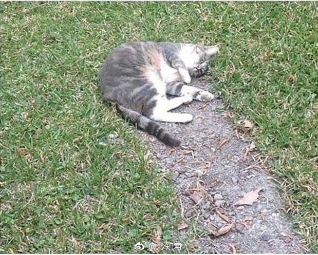 ��˵����