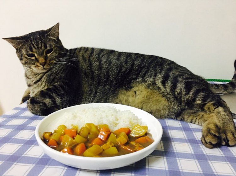 ��˵����