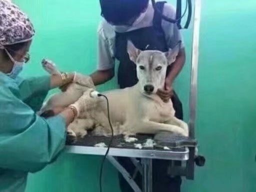 ��˵����